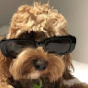 Meet your Posher, Macie